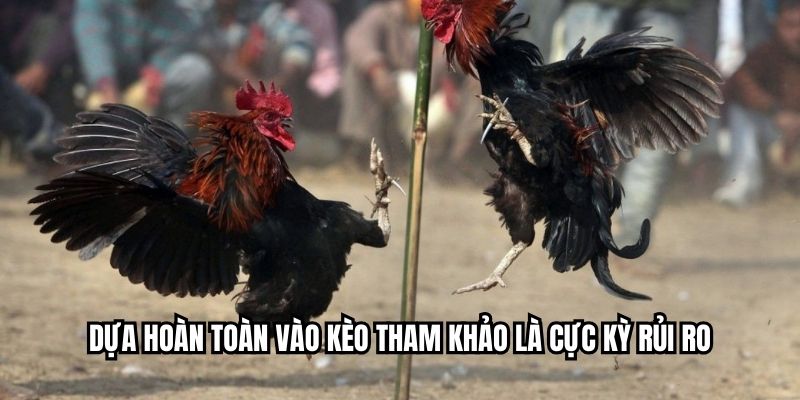 Dựa hoàn toàn vào kèo tham khảo là cực kỳ rủi ro