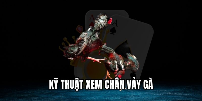 kỹ thuật xem chân vảy gà